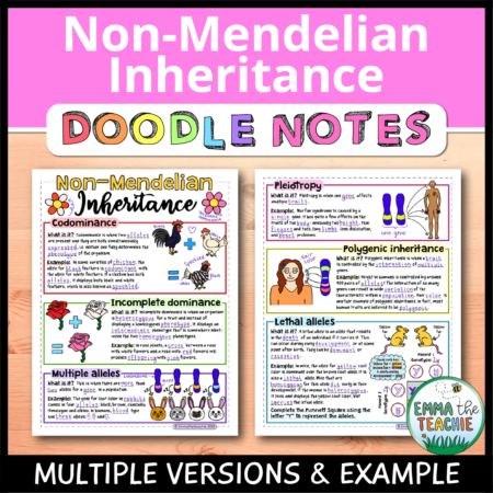 Cover image showing completed pages of the doodle notes against a wooden background. The title text reads, “Non-Mendelian Inheritance Doodle Notes” and text on the bottom reads, “Multiple versions & example”.