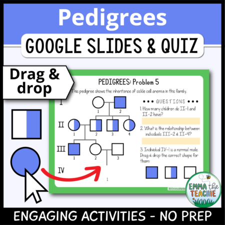 Cover image showing a sample slide and drag and drop pedigree chart pieces. The title text reads, “Pedigrees Google Slides and Quiz” and text on the bottom reads, “Engaging activities - no prep”.