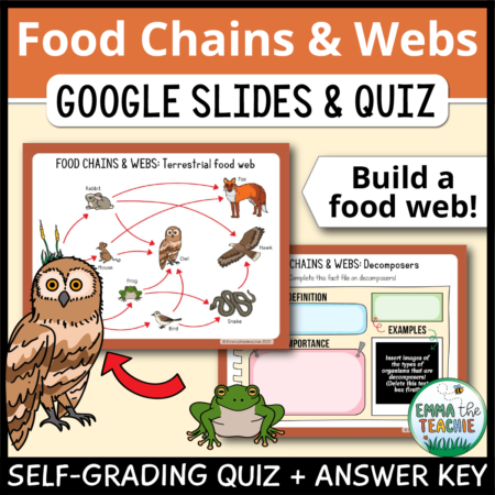 Cover image showing two sample slides and a picture of an owl and a frog. The title text reads, “Food Chains and Webs Google Slides and Quiz” and text on the bottom reads, “Engaging activities - no prep”.