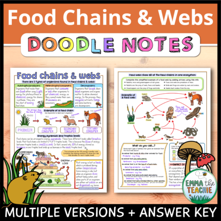 Cover image showing completed pages of the doodle notes against a wooden background. The title text reads, “Food Chains and Webs Doodle Notes” and text on the bottom reads, “Multiple versions & answer key”.