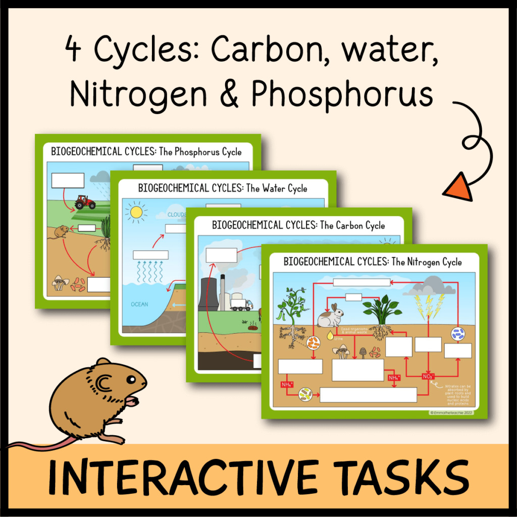 Biogeochemical Cycles Google Slides - Emmatheteachie