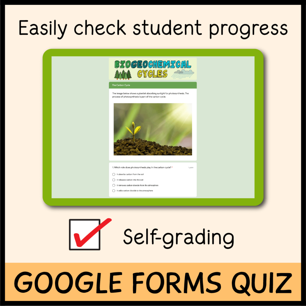 Biogeochemical Cycles Google Slides - Emmatheteachie