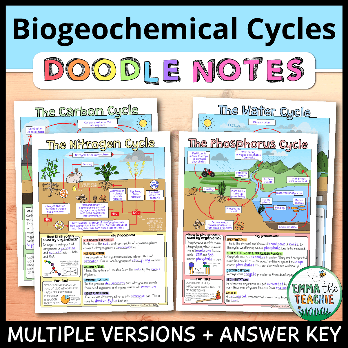 Blank Carbon Cycle Diagram Worksheet