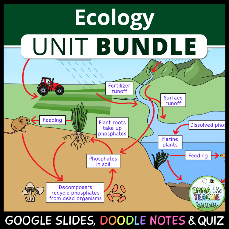 Ecology Big Unit Bundle Emmatheteachie